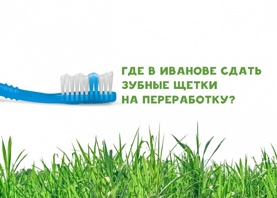Ивановцам предлагают сдавать использованные зубные щетки на переработку
